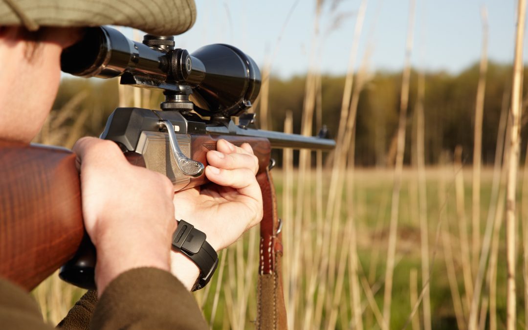 Choosing the Right Firearm for the Hunt: Rifles, Shotguns, and Handguns