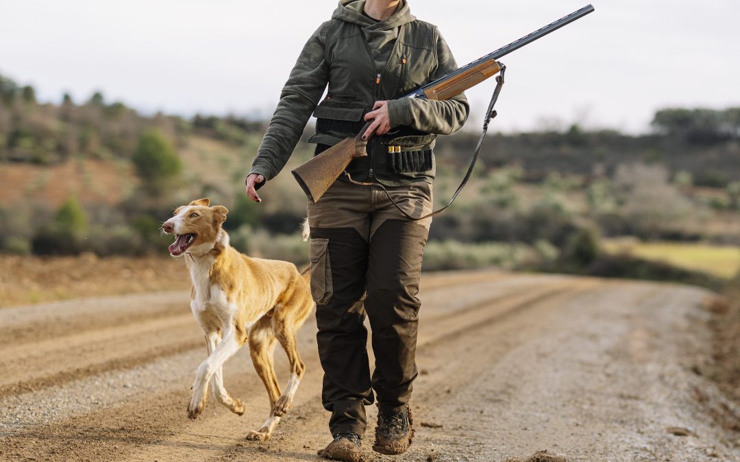 Hunting Dogs: Partners in the Pursuit of Game