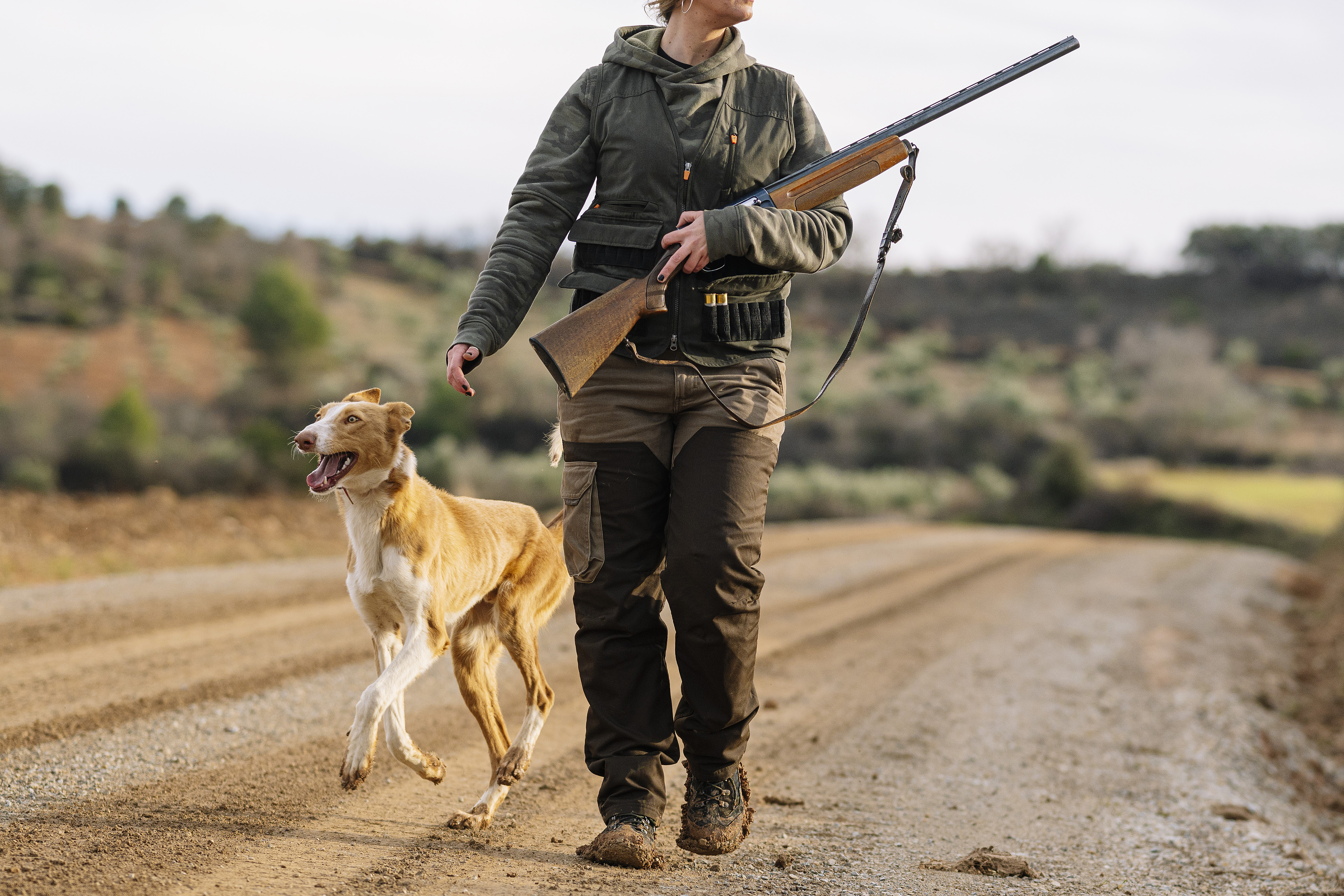 Hunter woman with shotgun hunting in the field.